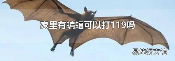 家里有蝙蝠可以打119吗