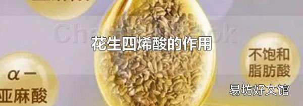 花生四烯酸的作用