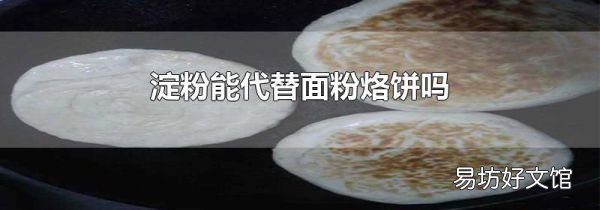 淀粉能代替面粉烙饼吗