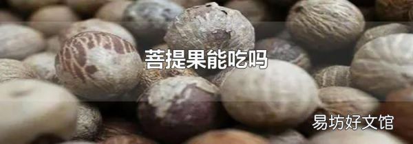菩提果能吃吗