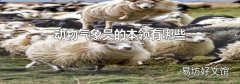 动物气象员的本领有哪些