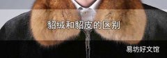 貂绒和貂皮的区别
