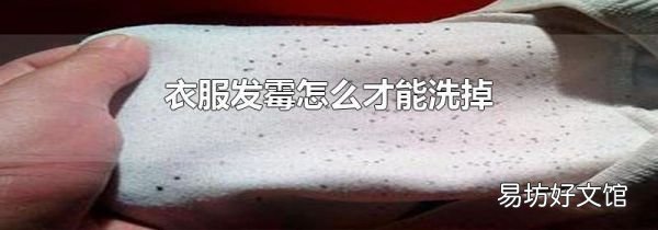 衣服发霉怎么才能洗掉