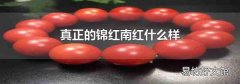 真正的锦红南红什么样