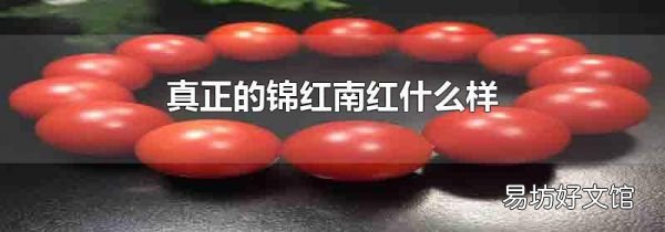 真正的锦红南红什么样