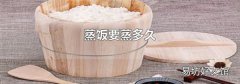 蒸飯要蒸多久