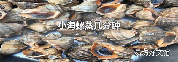 小海螺蒸幾分鐘
