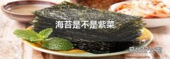海苔是不是紫菜