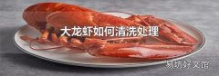 大龙虾如何清洗处理