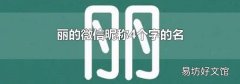 丽的微信昵称4个字的名