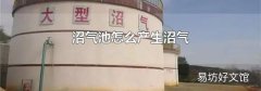 沼氣池怎么產(chǎn)生沼氣
