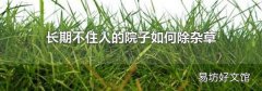 長(zhǎng)期不住人的院子如何除雜草