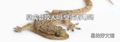 壁虎會(huì)咬人嗎,壁虎有毒嗎