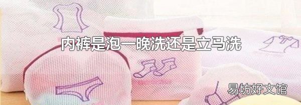內(nèi)褲是泡一晚洗還是立馬洗