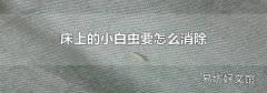 床上的小白虫要怎么消除
