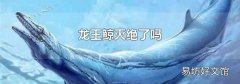龙王鲸灭绝了吗