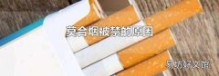 莫合烟被禁的原因