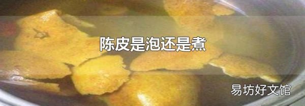 陳皮是泡還是煮