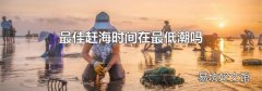 最佳趕海時間在最低潮嗎
