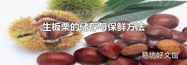 生板栗的儲(chǔ)存與保鮮方法