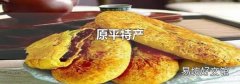 原平特产