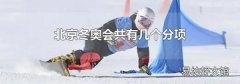 北京冬奥会共有几个分项