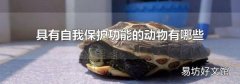 具有自我保护功能的动物有哪些