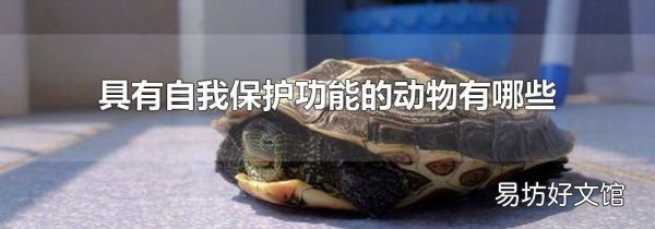 具有自我保護(hù)功能的動物有哪些