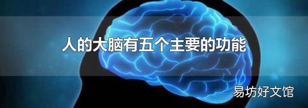 人的大脑有五个主要的功能
