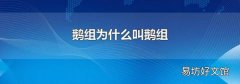 鵝組為什么叫鵝組