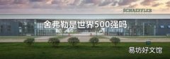 舍弗勒是世界500强吗