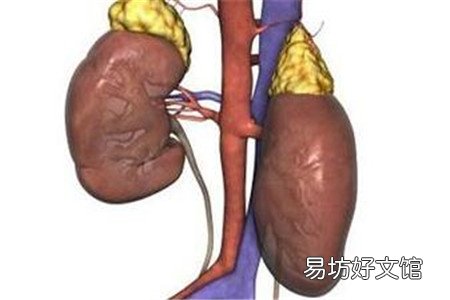 尿毒癥是什么原因引起的 三個引起尿毒癥的常見原因