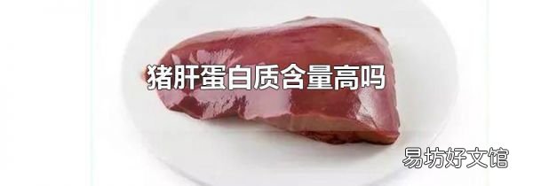 猪肝蛋白质含量高吗