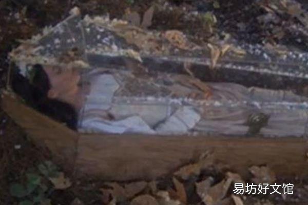 南极冰层发现小女孩 南极发现8亿年前女孩照片