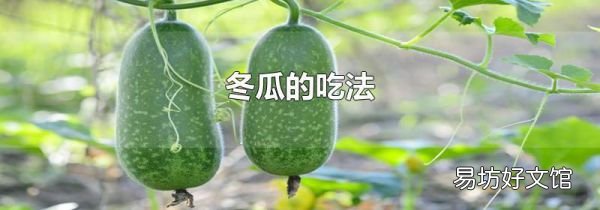 冬瓜的吃法