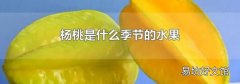 杨桃是什么季节的水果