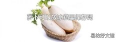 蘿卜可以放冰箱里保存嗎