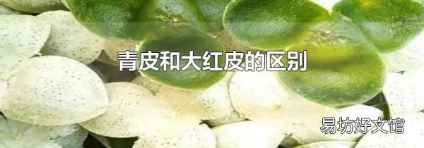 青皮和大紅皮的區(qū)別