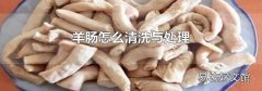 羊腸怎么清洗與處理