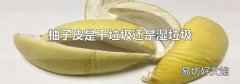 柚子皮是干垃圾還是濕垃圾