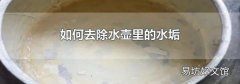 如何去除水壶里的水垢