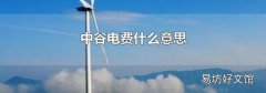 中谷电费什么意思