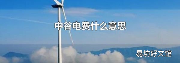 中谷電費什么意思