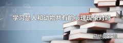 學(xué)習(xí)是人和動(dòng)物共有的心理現(xiàn)象對(duì)嗎
