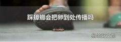 踩蟑螂會(huì)把卵到處傳播嗎