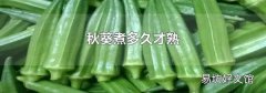 秋葵煮多久才熟