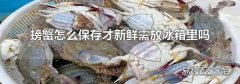 螃蟹怎么保存才新鮮需放冰箱里嗎