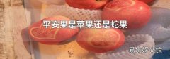 平安果是蘋果還是蛇果