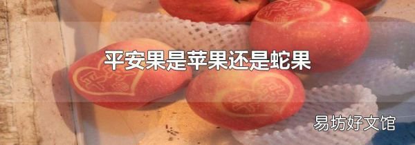 平安果是蘋果還是蛇果