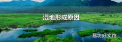 濕地形成原因